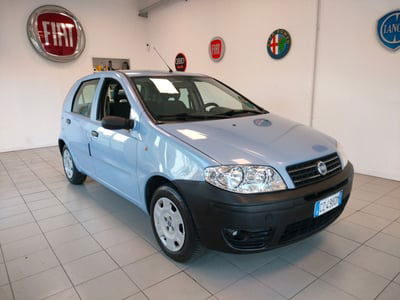 Fiat Punto 1.2 5 porte Active usata