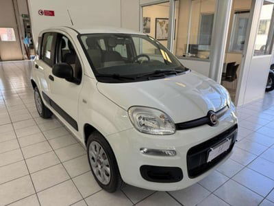 Fiat Panda 0.9 TwinAir Turbo Natural Power Easy usata