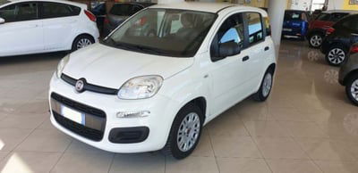 Fiat Panda 1.2 Easy usata
