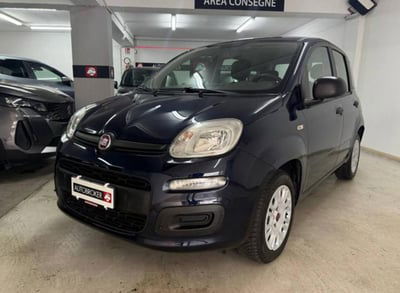 Fiat Panda 1.2 Easy usata