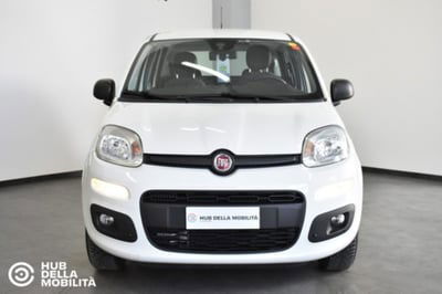 Fiat Panda 0.9 TwinAir Turbo Natural Power Easy usata