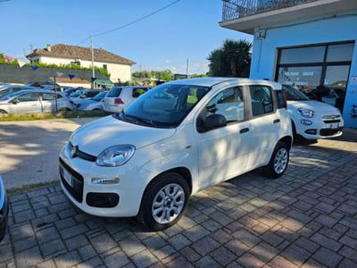Fiat Panda 0.9 TwinAir Turbo Natural Power Easy usata