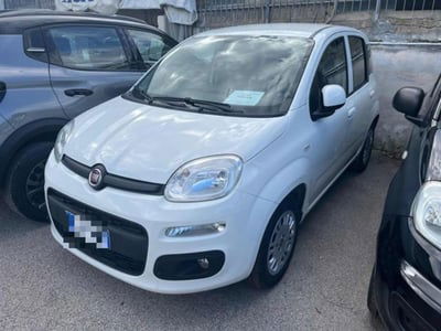 Fiat Panda 1.2 usata