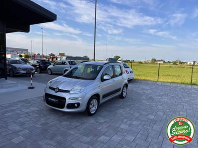 Fiat Panda 1.2 Easy usata