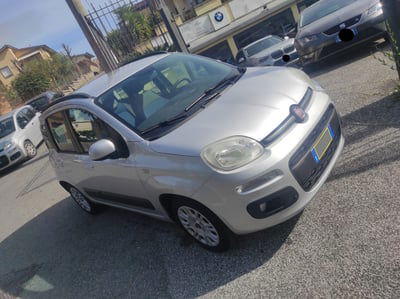 Fiat Panda 1.2 Easy usata