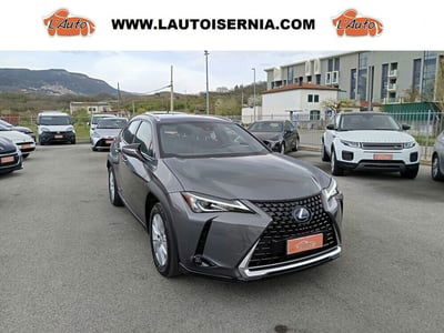 Lexus UX 300h 2.0 Urban 2wd cvt usata