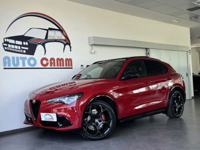 Alfa Romeo Stelvio Stelvio 2.0 Turbo 280 CV AT8 Q4 Veloce usata