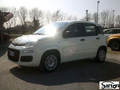 Fiat Panda 1.2 Easy usata