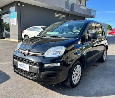 Fiat Panda 1.2 Easy usata