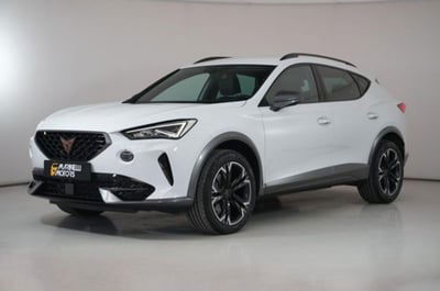 Cupra Formentor Formentor 2.0 TDI usata