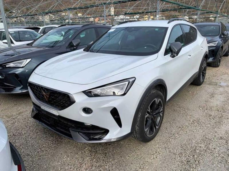 Cupra Formentor Formentor 2.0 tdi 4drive 150cv dsg