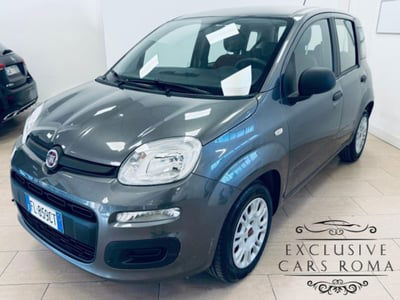 Fiat Panda 1.2 usata