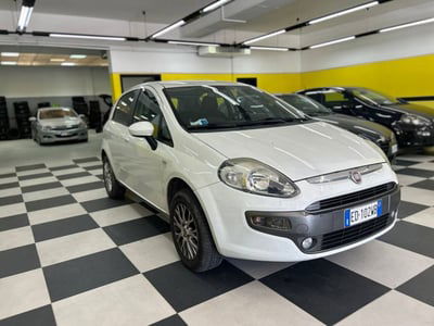 Fiat Punto 1.2 5 porte Active Natural Power usata