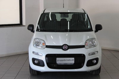 Fiat Panda 1.3 MJT 95 CV S&S Easy (2)