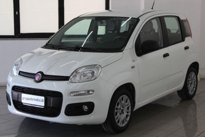 Fiat Panda 1.3 MJT 95 CV S&S Easy (3)
