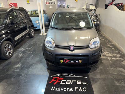 Fiat Panda 1.0 FireFly S&S Hybrid usata