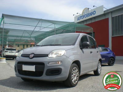 Fiat Panda 1.2 Easy usata