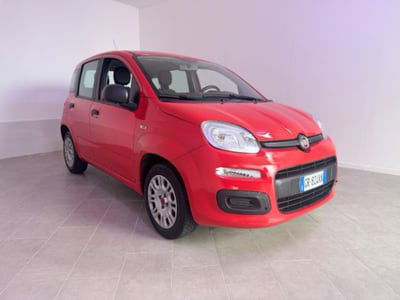 Fiat Panda 1.2 Lounge usata