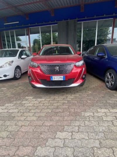 Peugeot 2008 BlueHDi 100 S&S Active usata