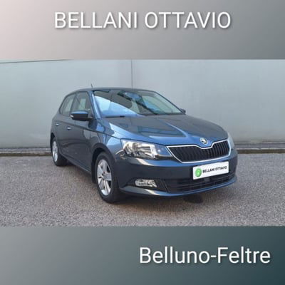 Skoda Fabia 1.4 TDI 90 CV Ambition usata