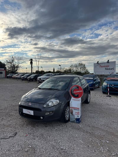 Fiat Punto 1.3 MJT II 75 CV 3 porte Street usata