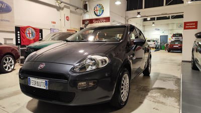 Fiat Punto 1.2 8V 5 porte Street usata