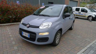 Fiat Panda 1.2 Easy usata
