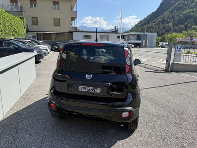 Fiat Panda Cross Cross 1.0 FireFly S&S Hybrid usata
