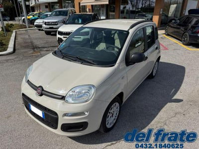 Fiat Panda 1.2 Easy usata