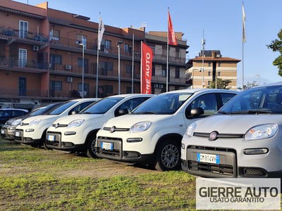 Fiat Panda 1.0 FireFly S&S Hybrid usata