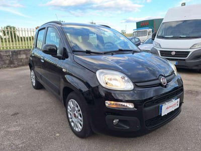 Fiat Panda 1.2 Easy usata