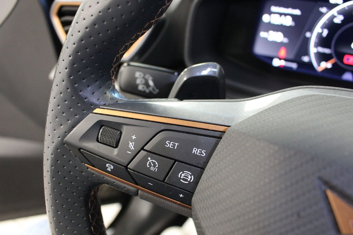 Cupra Formentor Formentor 1.5 TSI (10)