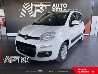 Fiat Panda 1.2 Lounge usata