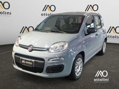 Fiat Panda Cross Cross 1.0 FireFly S&S Hybrid usata