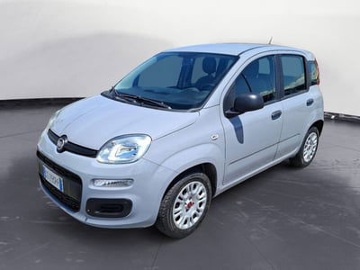 Fiat Panda 1.2 EasyPower usata