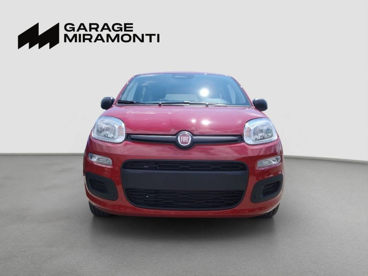 Fiat Panda 1.0 firefly hybrid s&s 70cv 5p.ti (2)