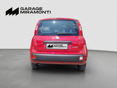 Fiat Panda 1.0 firefly hybrid s&s 70cv 5p.ti (5)