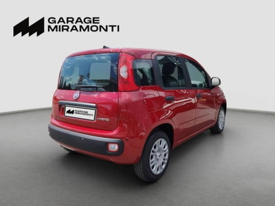 Fiat Panda 1.0 firefly hybrid s&s 70cv 5p.ti (6)