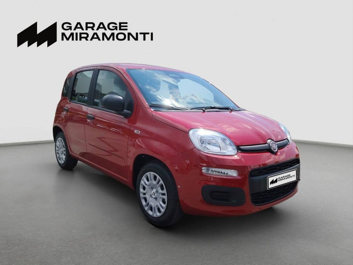 Fiat Panda 1.0 firefly hybrid s&s 70cv 5p.ti (8)