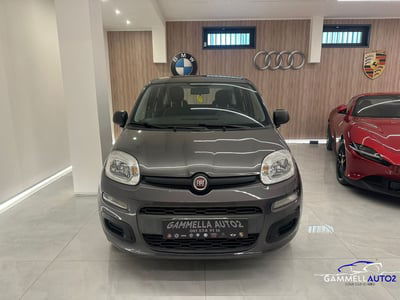 Fiat Panda 1.2 Easy usata