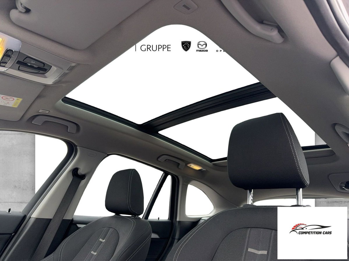 BMW X1 xDrive25e Advantage (15)