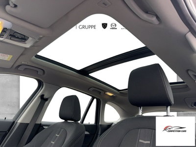 BMW X1 xDrive25e Advantage (15)