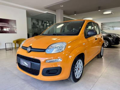 Fiat Panda 1.0 FireFly S&S Hybrid usata