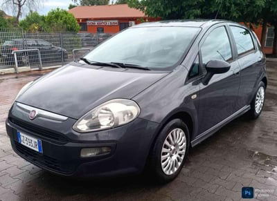 Fiat Punto 1.3 MJT II S&S 85 CV 5 porte ECO Easy usata