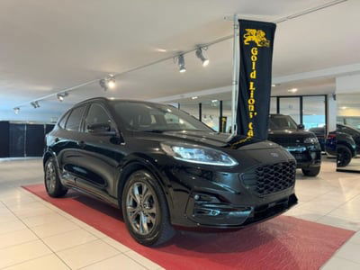Ford Kuga 2.0 EcoBlue 190 CV aut. AWD ST-Line usata
