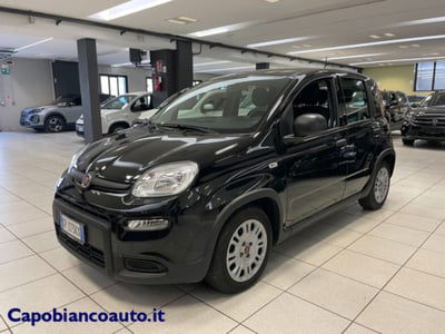 Fiat Panda 1.0 firefly hybrid s&s 70cv 5p.ti usata