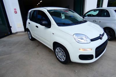 Fiat Panda 1.0 firefly hybrid s&s 70cv 5p.ti nuova
