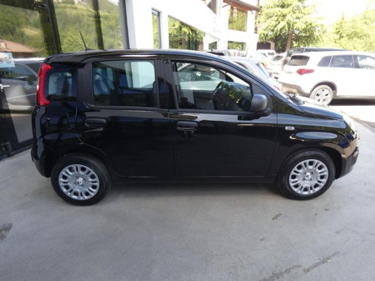 Fiat Panda 1.0 firefly hybrid s&s 70cv 5p.ti (8)