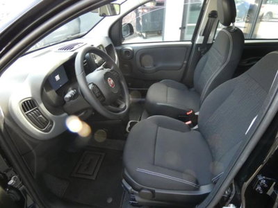 Fiat Panda 1.0 firefly hybrid s&s 70cv 5p.ti (9)