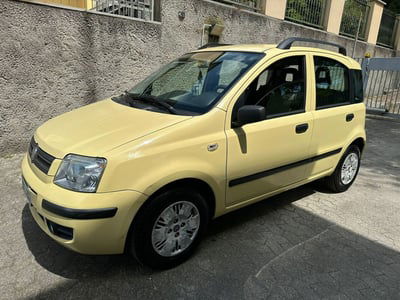 Fiat Panda 1.2 Dynamic usata